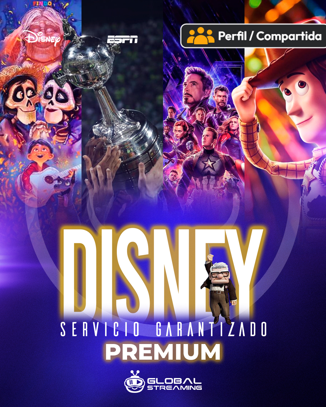 Perfil Disney + Premium 1